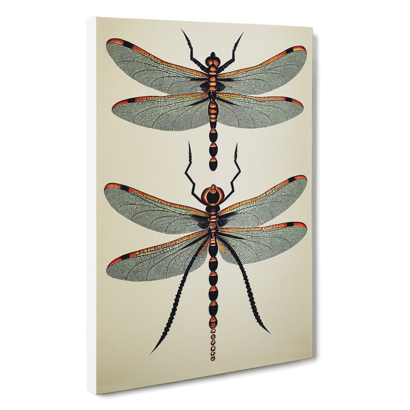 Classic Dragonflies - Print, 50cm H x 35cm W x 3cm D, Wrapped Canvas, No Matte