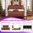 King Size Canopy Bed Frame With PU Upholstered Headboard And Iron Support Structure