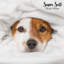 Accessoire de lit Dog Dog