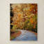 «Autumn Splash» de Vidur, reproduction de photo sur toile tendue-22069351
