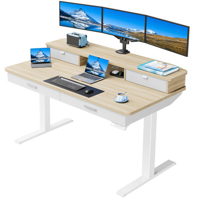Height Adjustable Electric Standing Desk With Storage Shelf And Pull-Out Drawer, Modern Ergonomic Computer Workstation