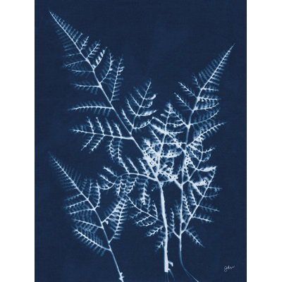Indigo Small Ferns par Julie Norkus