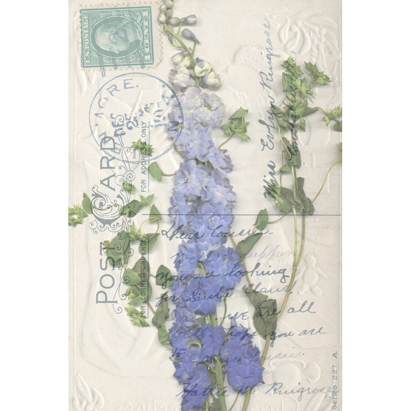 Non-Embshd. Postcard Wildflowers II - Wrapped Canvas Print, 46cm H x 30cm W x 3.8cm D
