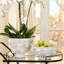 Vase de table Helios-84860382