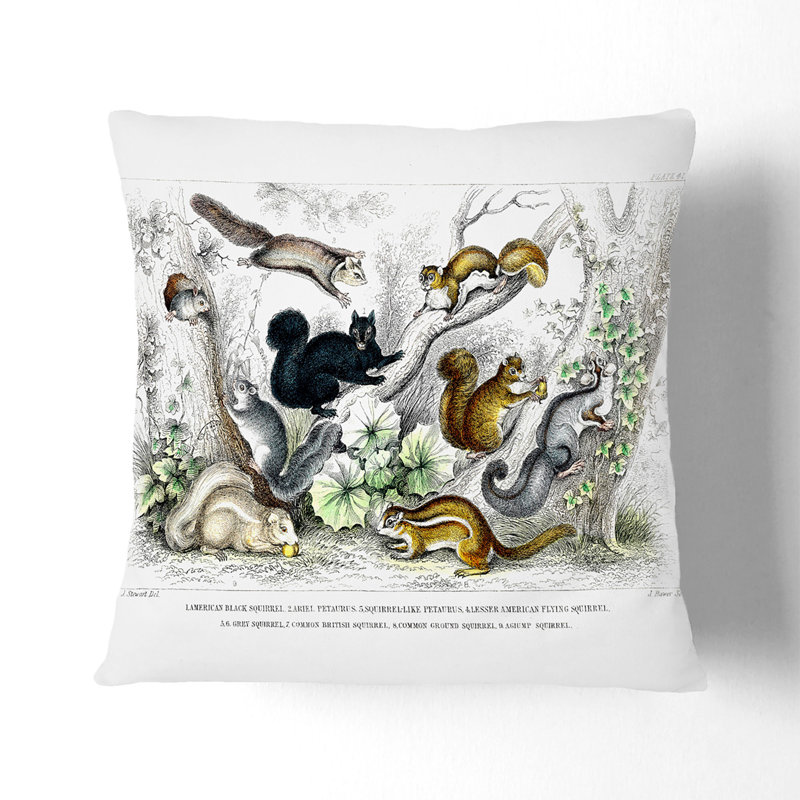Collection Of Squirrels Square Throw Cushion, 55 x 55 cm
