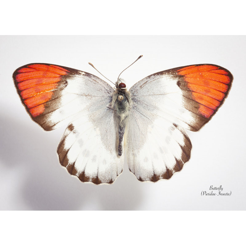 Wrapped Canvas Print, 50.8 cm H x 76.2 cm W