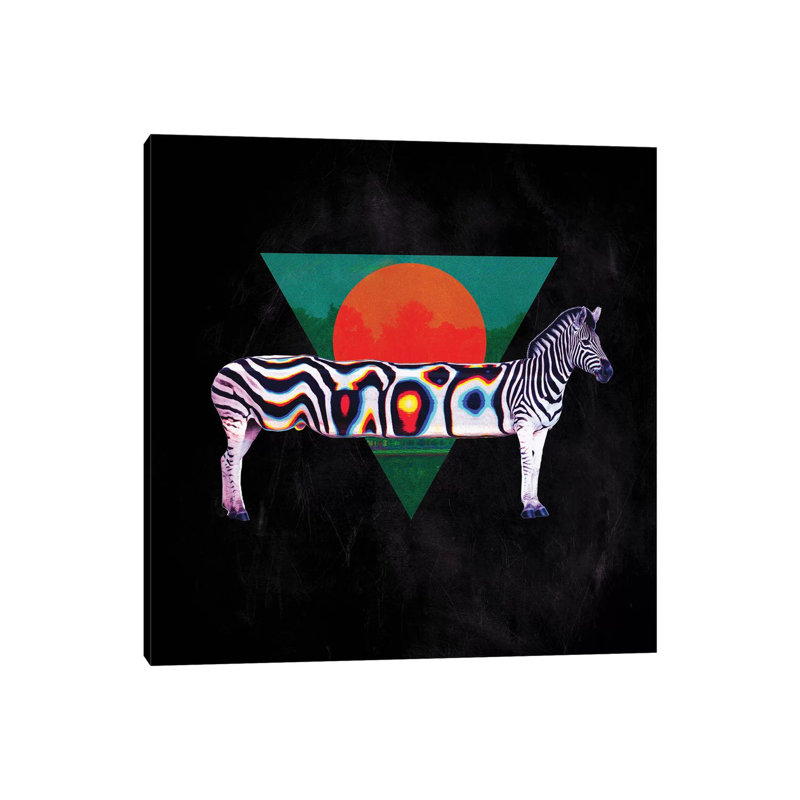 Zebra, Square by Ali Gulec - Wrapped Canvas Print, 30.48 cm H x 30.48 cm W x 1.91 cm D