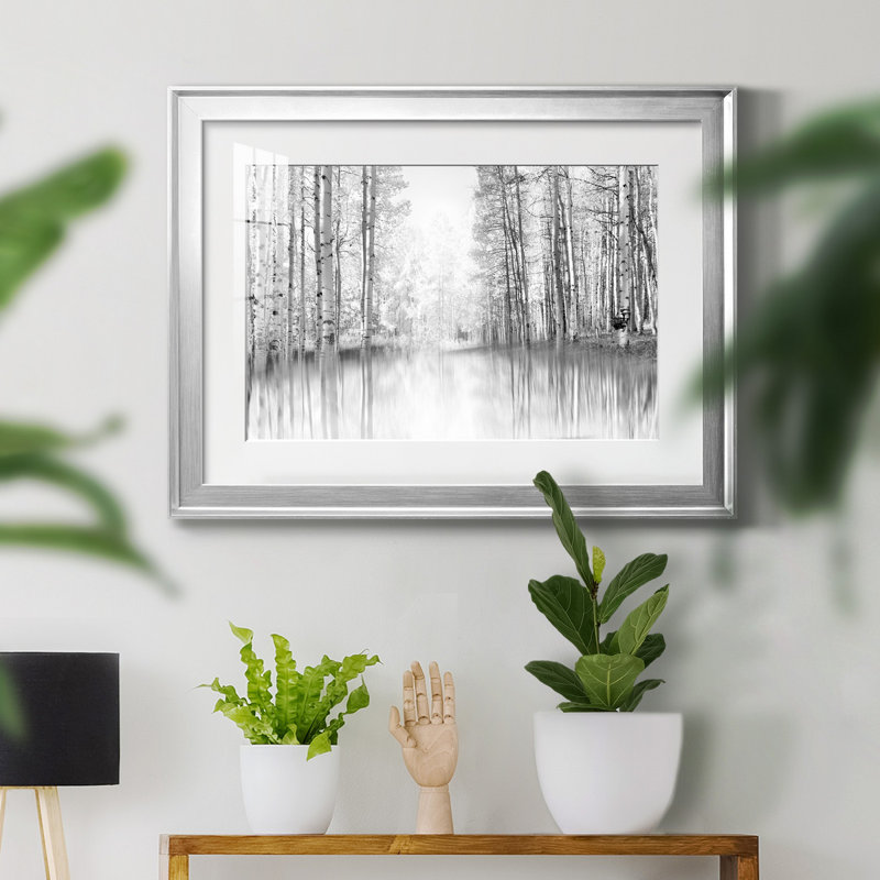 Aspen Reflection - Photographie avec cadre photo, H 26,5 po x l 36,5 po x P 1,5 po, Argent
