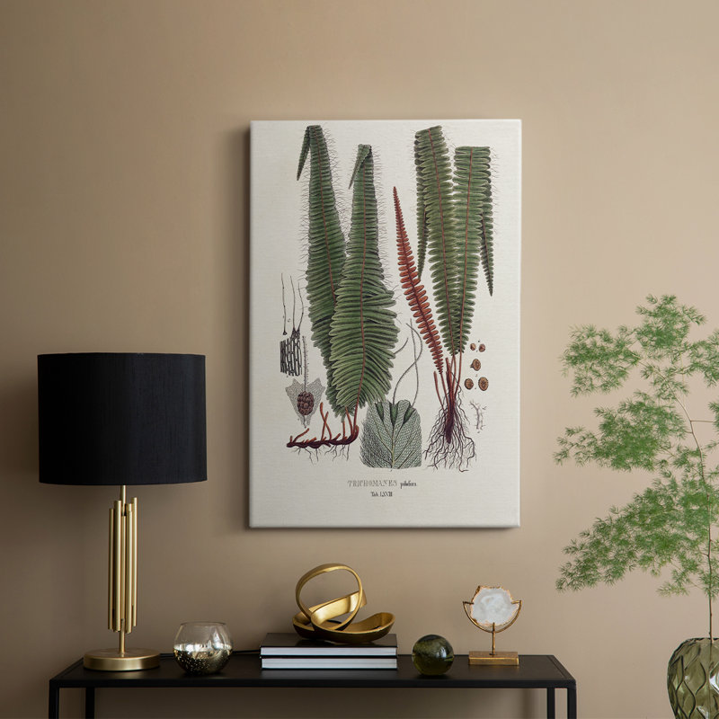 Botanical Society Ferns IV - Gallery Cavas