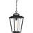 Lucienne Outdoor Hanging Lantern
