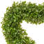 Cœur mural 14 "UV Boxwood