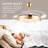 Ceiling Fan