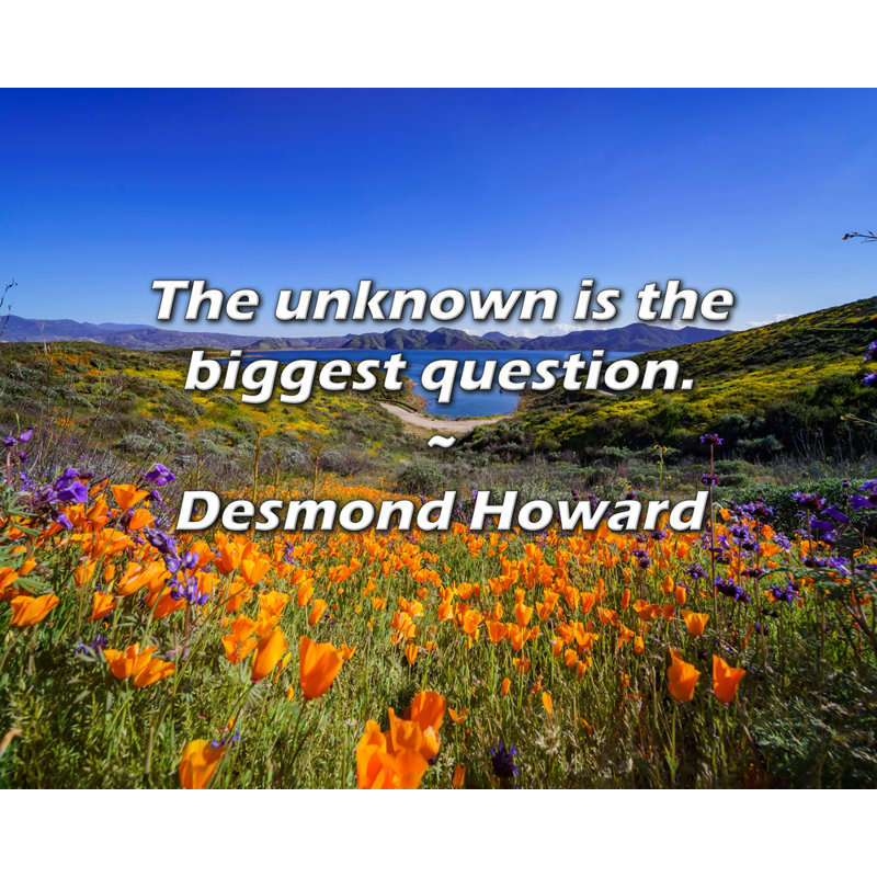 Citation artistique «L'inconnu est la plus grande question». Toile tendue par Desmond Howard, H 24 po x l 17 po
