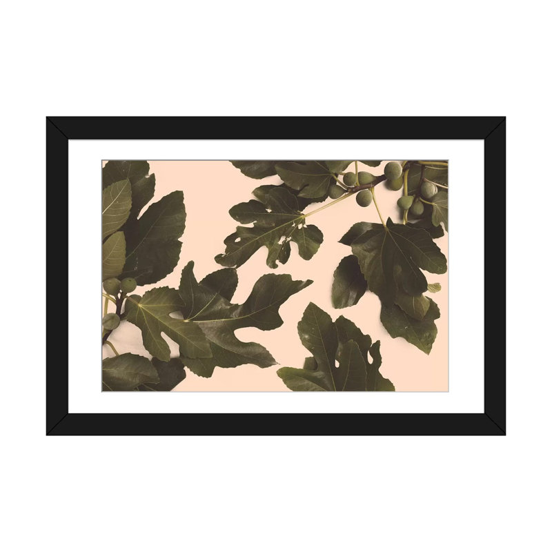 «Fig Tree» par Florent Bodart, impression sur toile tendue, Papier d'art encadré noir, Blanc, H 16 po x l 24 po x P 1 po