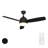 48" 3-Blades Modern Ceiling Fan with Light