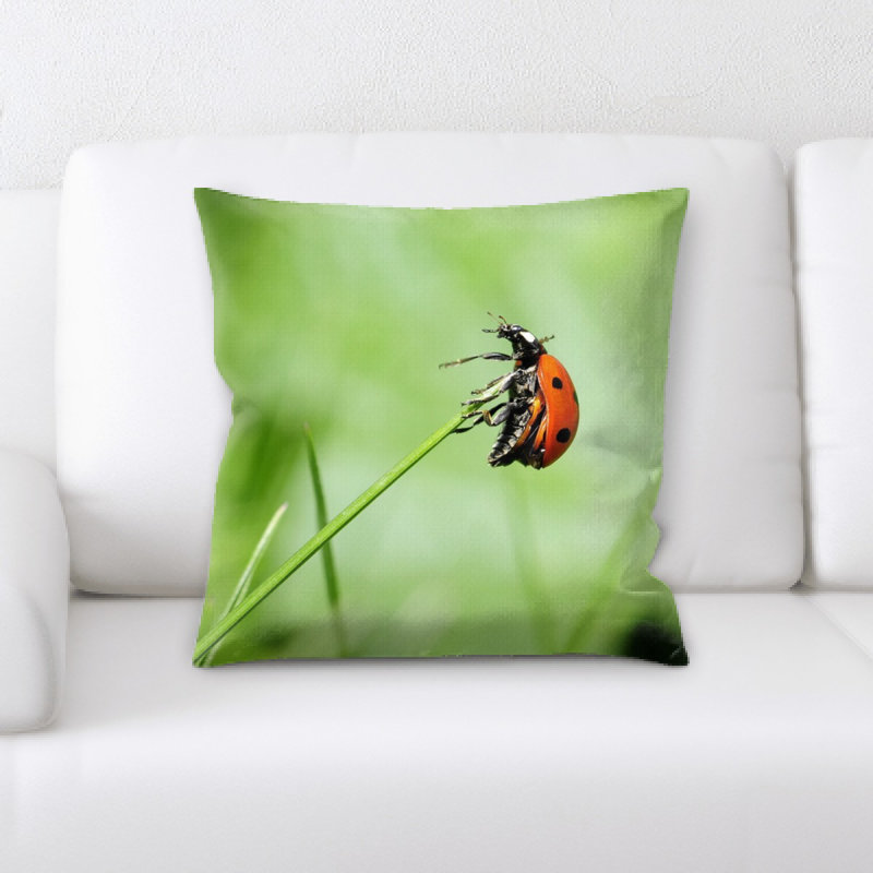 Coussin coccinelle