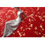 Tapis Brea-1601739185
