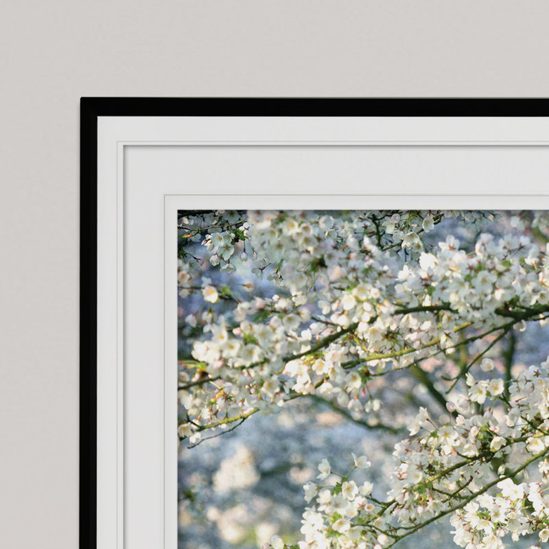 In All Your Glory - reproduction de cadre photo, Noir, H 30 po x l 40 po x P 1,5 po