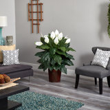 48'' Faux Spathyfillum Plant in Vase