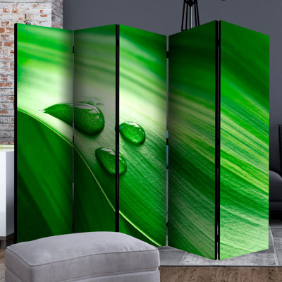 Nerseh 172cm H Folding Room Divider
