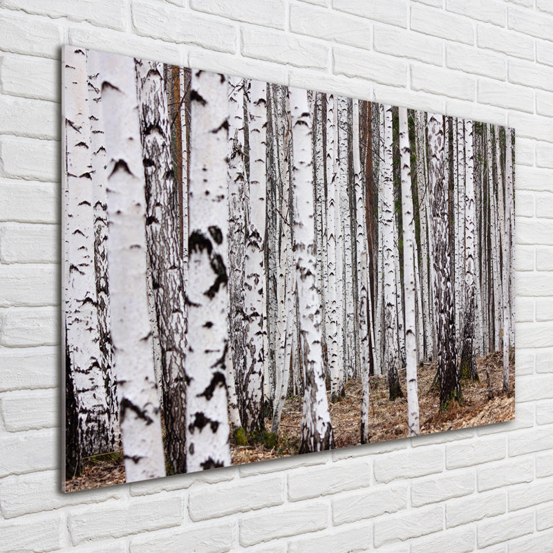 Birch-tree - No Frame Print on Glass