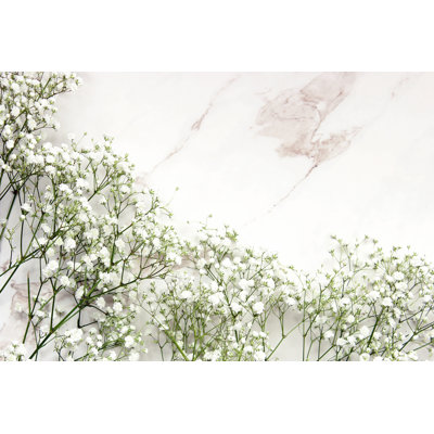 Baby's Breath - Photographie sur toile tendue