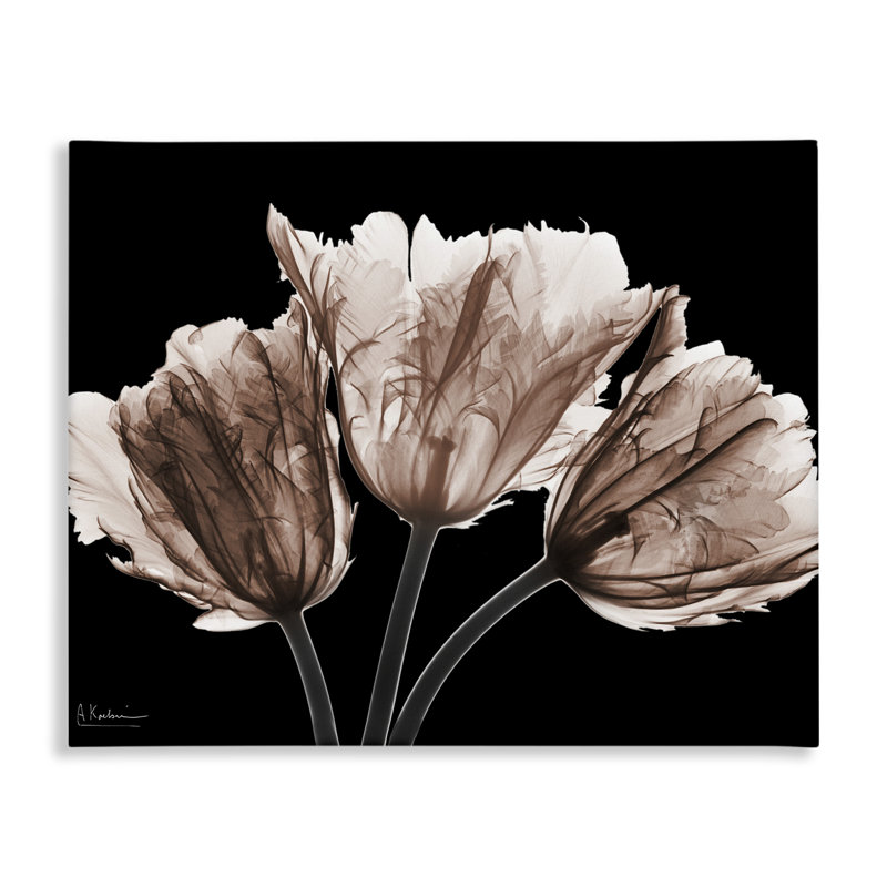 «Crisp Tulips on Black», art mural par Albert Koetsier, H 36 po x l 48 po