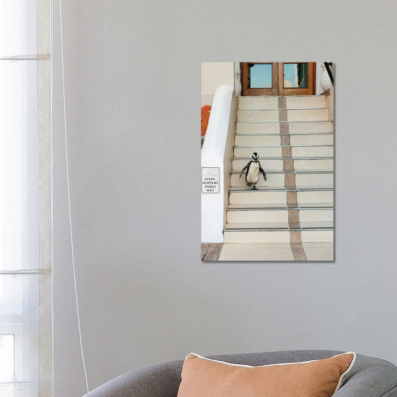 Black-Footed Penguin Descending Stairs, Boulders Beach, Cape Peninsula, South Africa 1 Piece Wrapped Canvas Wall Art