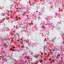 Ensemble de courtepointe réversible Betsey Johnson Floral Vineyard-82704778-82704776