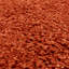 Taiwo Shaggy Orange Area Rug-1295905073