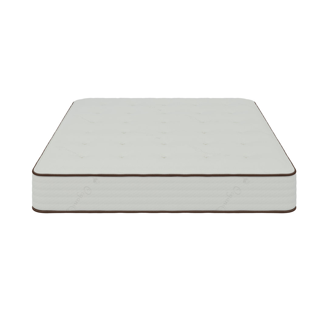 Domenick 11'' Medium Mattress Alwyn Home Mattress 