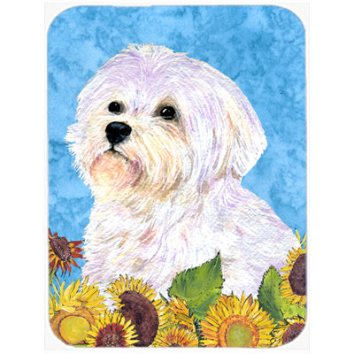 East Urban Home Maltese Glass Cutting Board