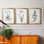 Inky Botanical I - Ensemble de 3 peintures-817928874-818675300