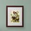 «Carolina Turtledove» par John Audubon - reproduction d'art sur toile-2022149068-2031455277