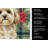 Cream Lhasa Apso Christmas PoinsettIas Kitchen Towel-2080584140