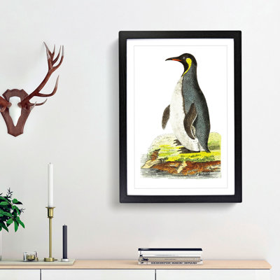 Patagonian Penguin by George Shaw - Picture Frame Painting Print