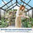 6x6 Ft Outdoor Walk-in Greenhouse with Aluminum Frame, Lockable Hinged Door, Adjustable Roof Vent and Rain Gutter for Backyard, Patio or Garden