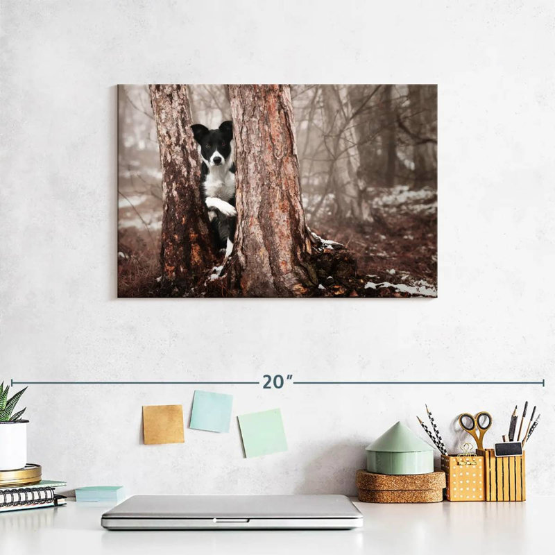 Brampt Playful Border Collie, 8'' H x 12'' W