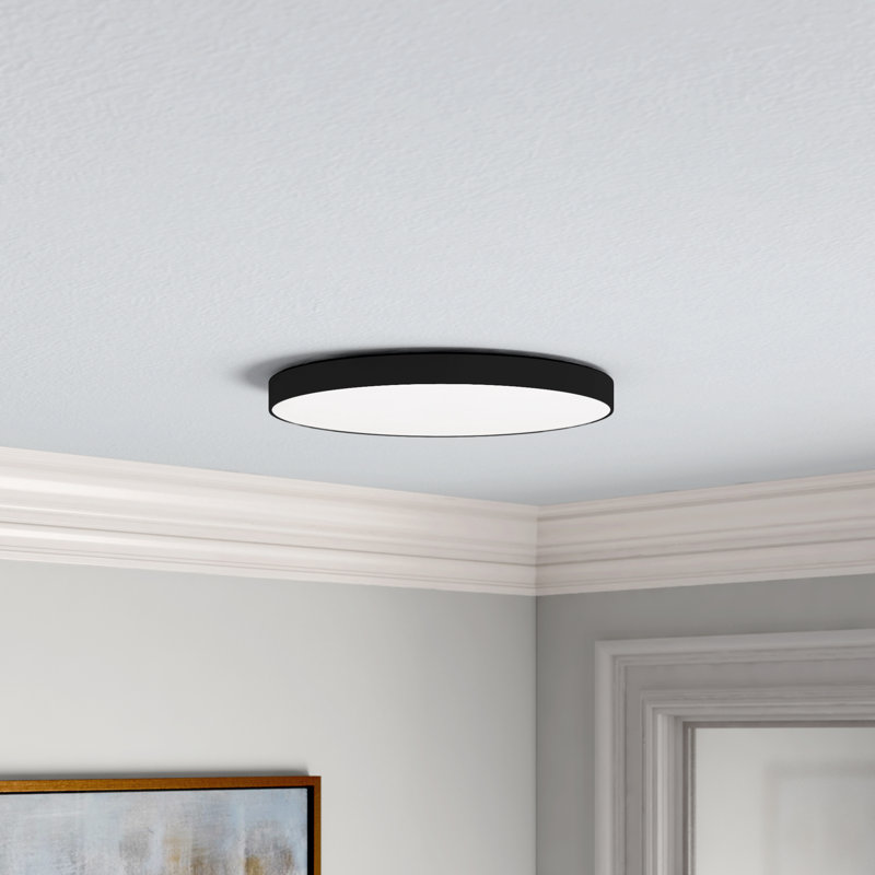 Orduna Plastic LED Flush Mount, Black