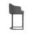 Alyce Upholstered Counter Stool-1835217672