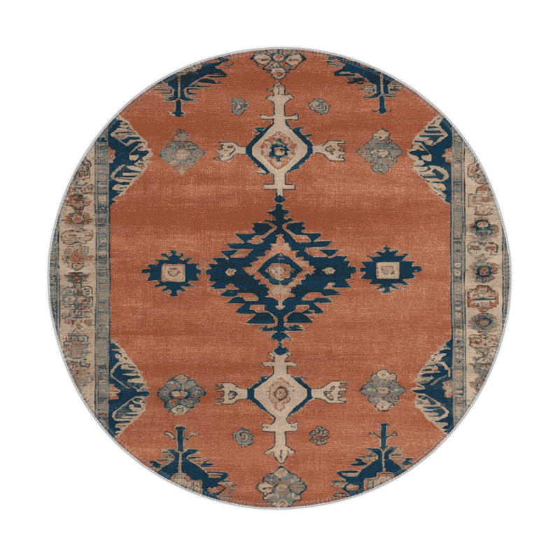 Tapis intérieur et extérieur brun Overdyed, Rond 5 pi