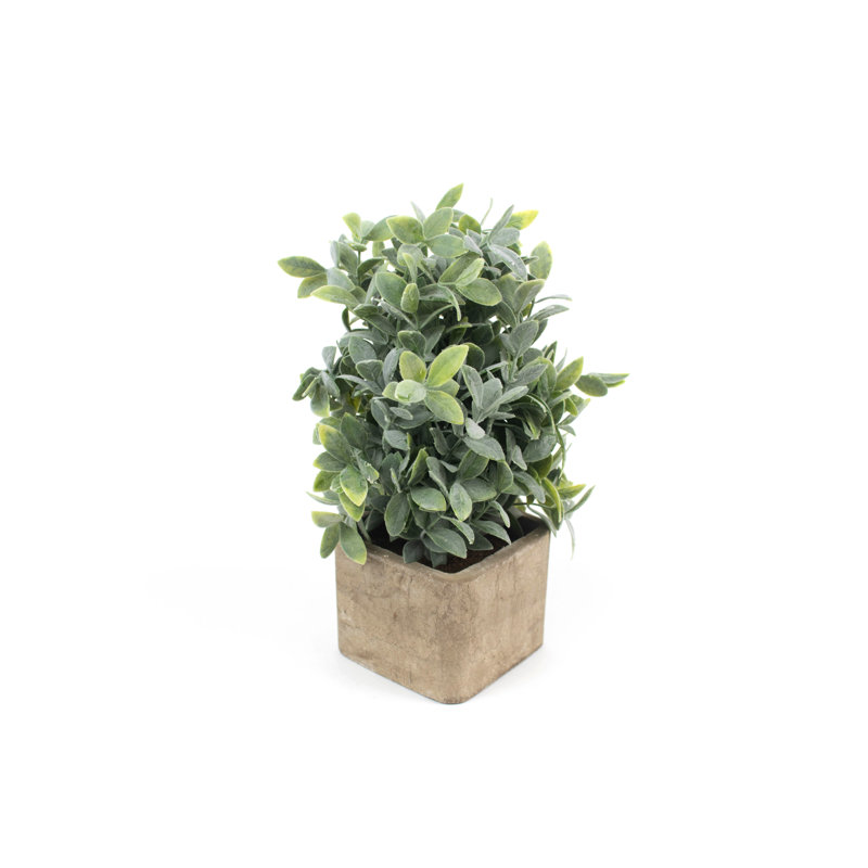 12.5'' Faux Herbs Plant in Concrete Pot
