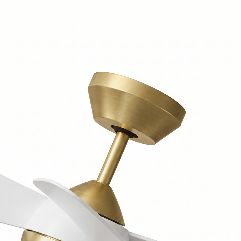 Ventilateur de plafond de 30 pouces, Gold, White
