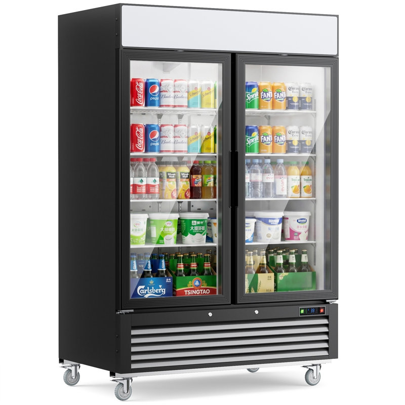 Réfrigérateur commercial à boissons de 49 pi³ avec 2 portes en verre Coolake