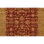 Hand Knotted Area Rug in Red And Gold