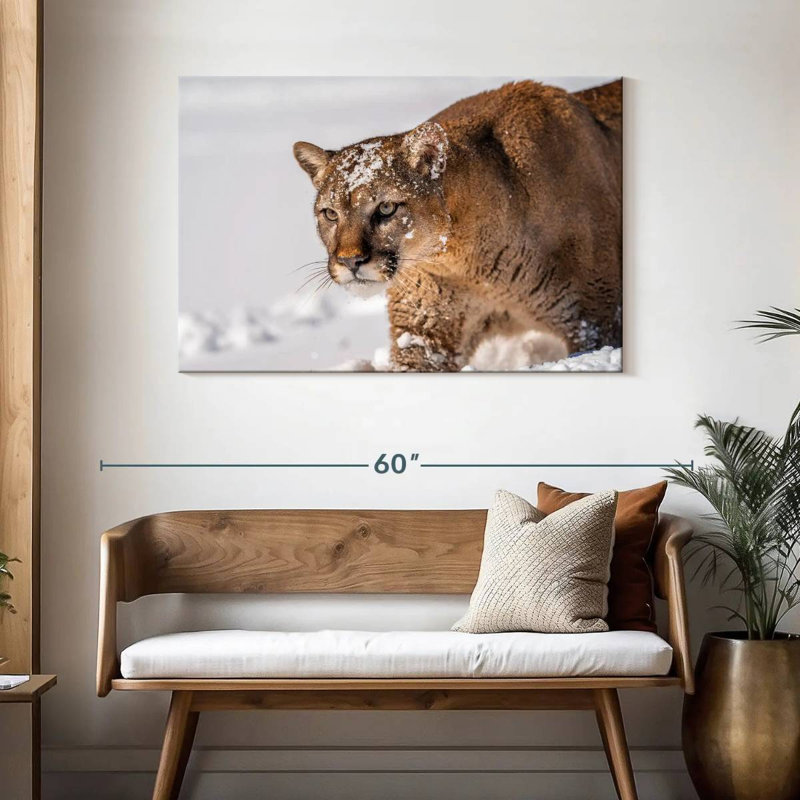 Ronce de lions en hiver, H 30 po x l 45 po