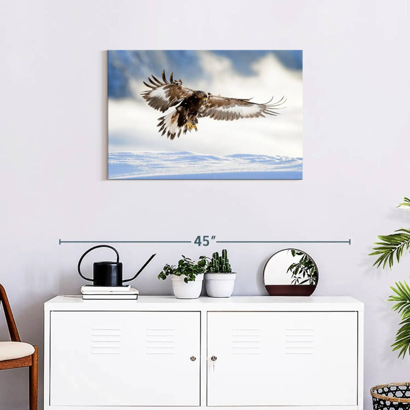 Brampt Norwegian Golden Eagle, 20" H x 30" W