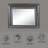 Gray Finish Mirror W/Led