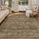 Elyria Performance Oriental Area Rug