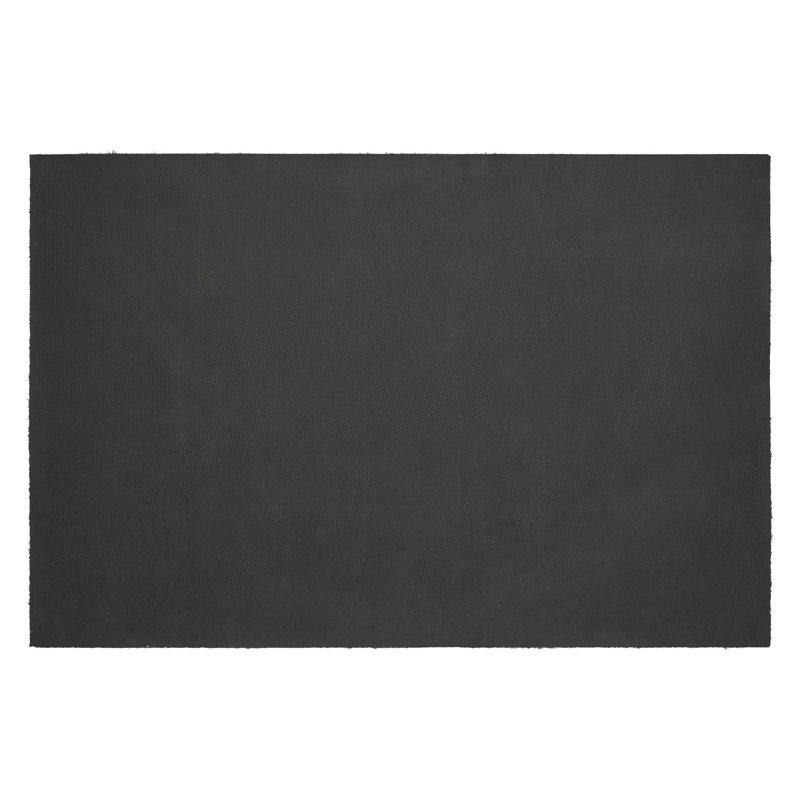Davontre Non-Slip Indoor Doormat, 20" W x 30" L
